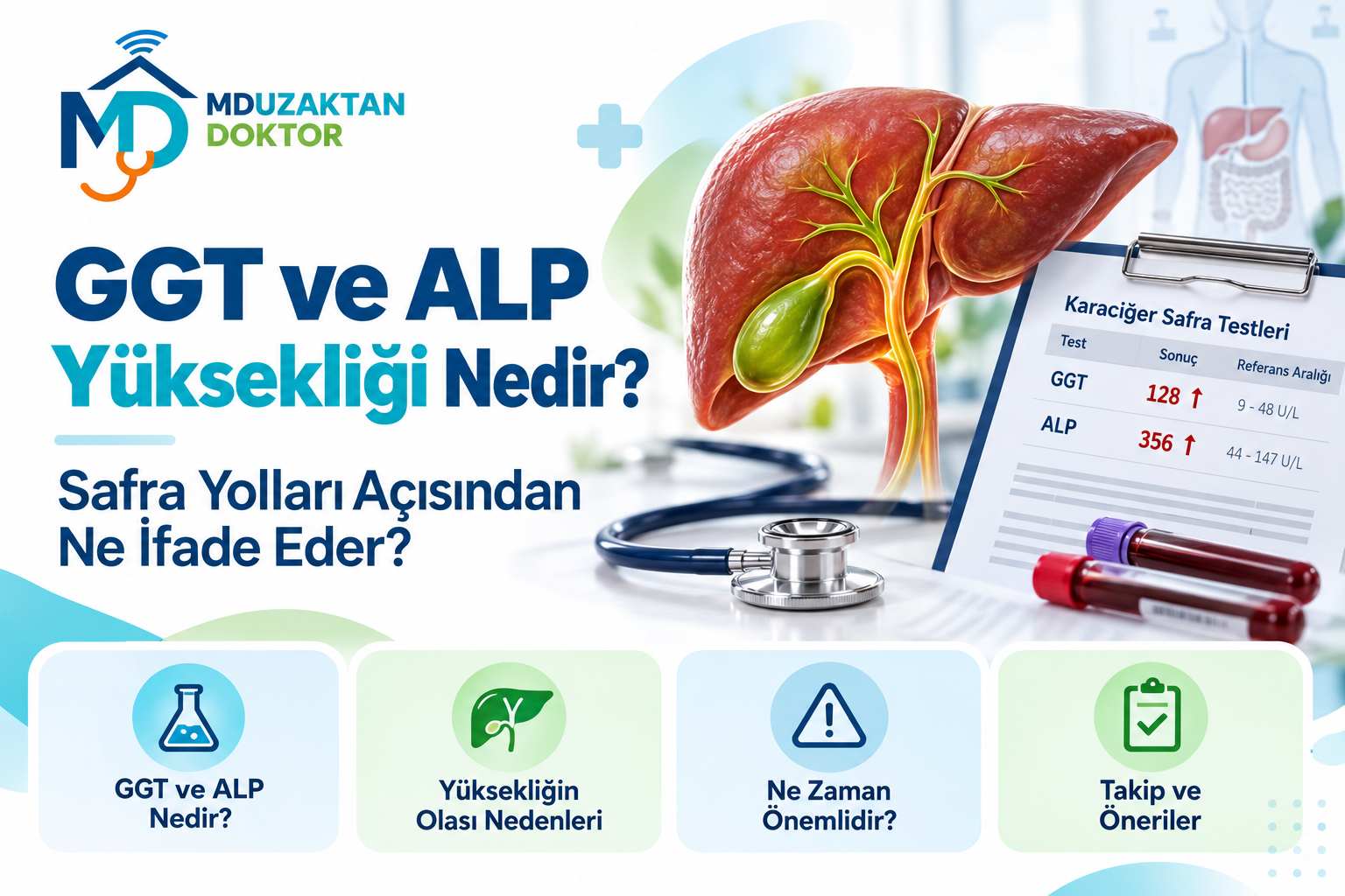 GGT ve ALP Yüksekliği Nedir? Safra Yolları Açısından Ne İfade Eder?