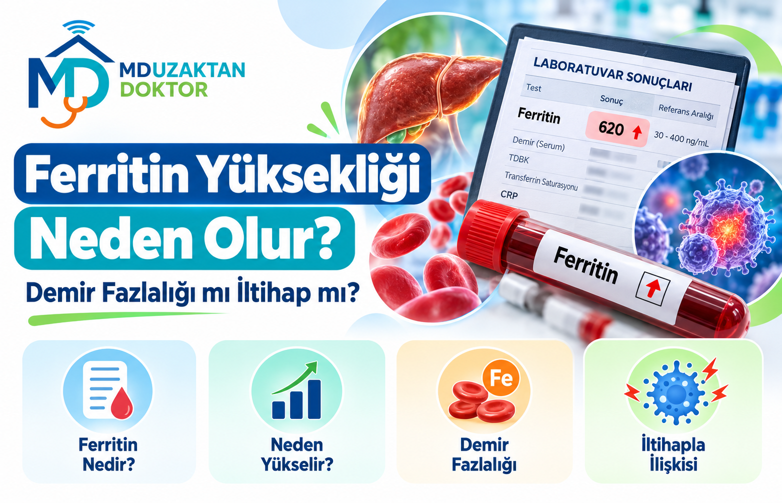 Ferritin Yüksekliği Neden Olur? Demir Fazlalığı mı İltihap mı?
